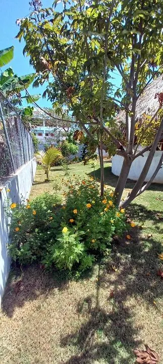 Casa Arcoiris Hotel Las Galeras 0*,